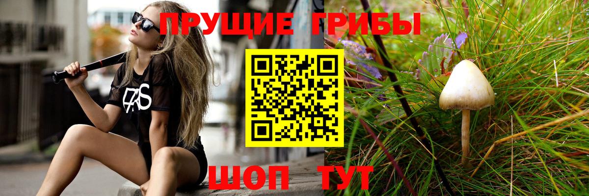 Ростов-на-Дону  Псилоцибиновые грибы ЛСД  Вход с VPN 